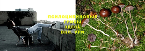 кокаин колумбия Абаза