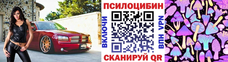 Псилоцибиновые грибы мухоморы  где купить наркоту  Минусинск 