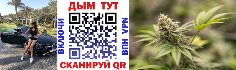 Каннабис индика  Минусинск 